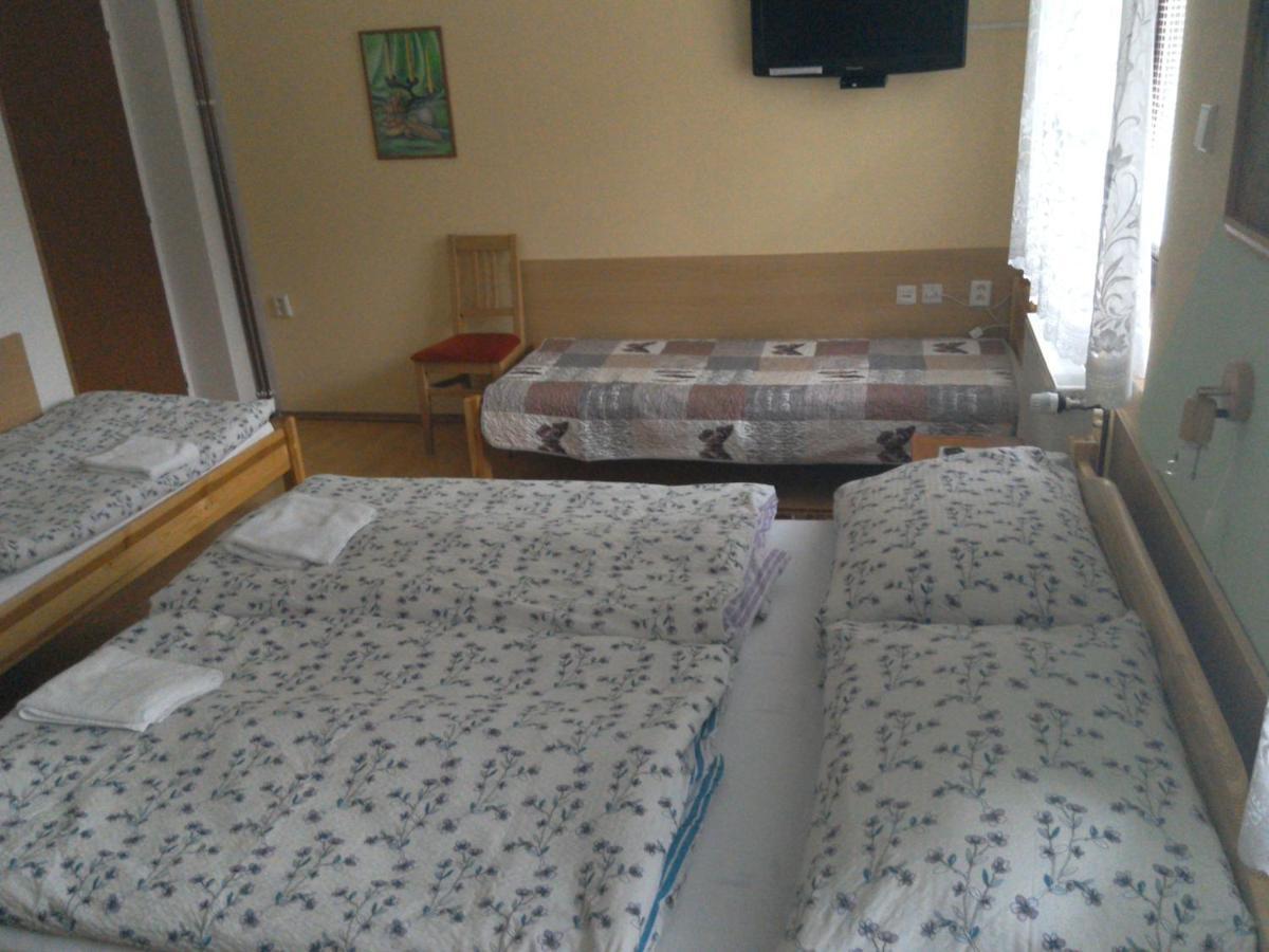 Apartmany Pod Suchym Vrchem Orličky Екстериор снимка